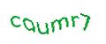 Captcha-Abbildung